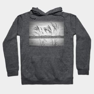 Tall Grasses Waving in the Wind Hoodie